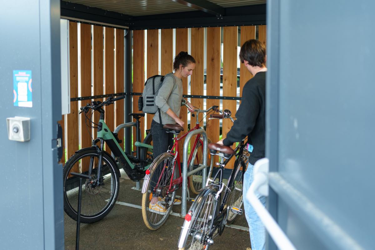 Crédit : ©Bartosch Salmanski